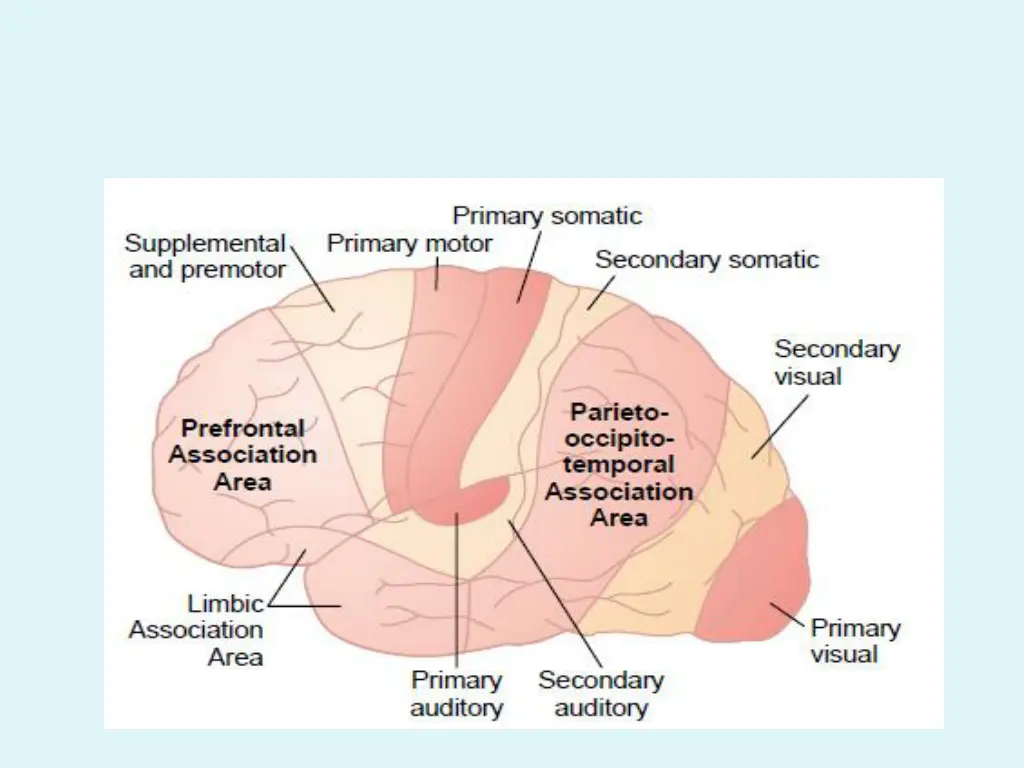 slide8