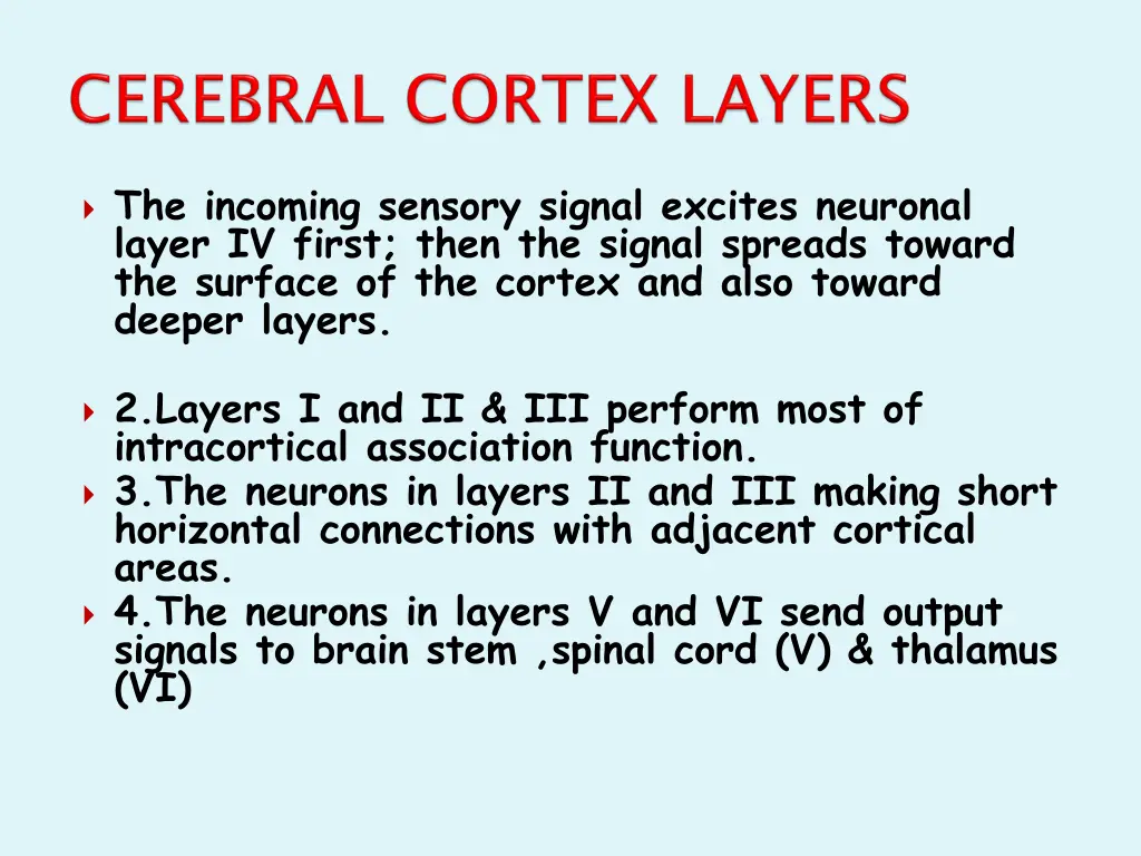the incoming sensory signal excites neuronal