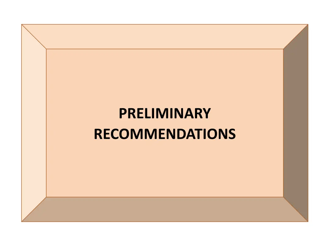 preliminary recommendations