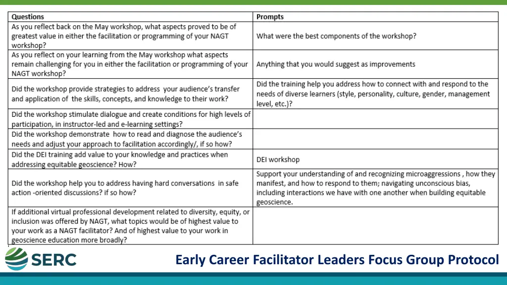 early career facilitator leaders focus group