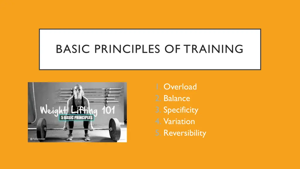 basic principles of training