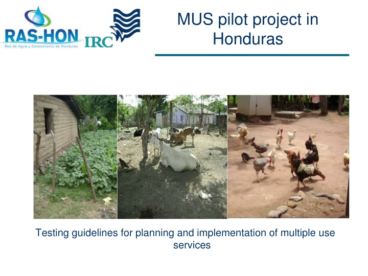 mus pilot project in honduras
