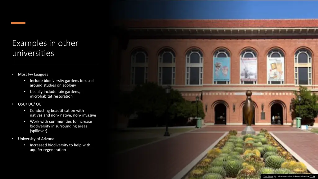 examples in other universities