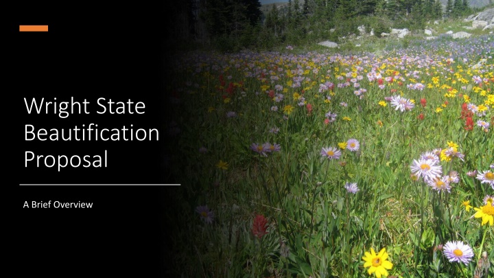 wright state beautification proposal