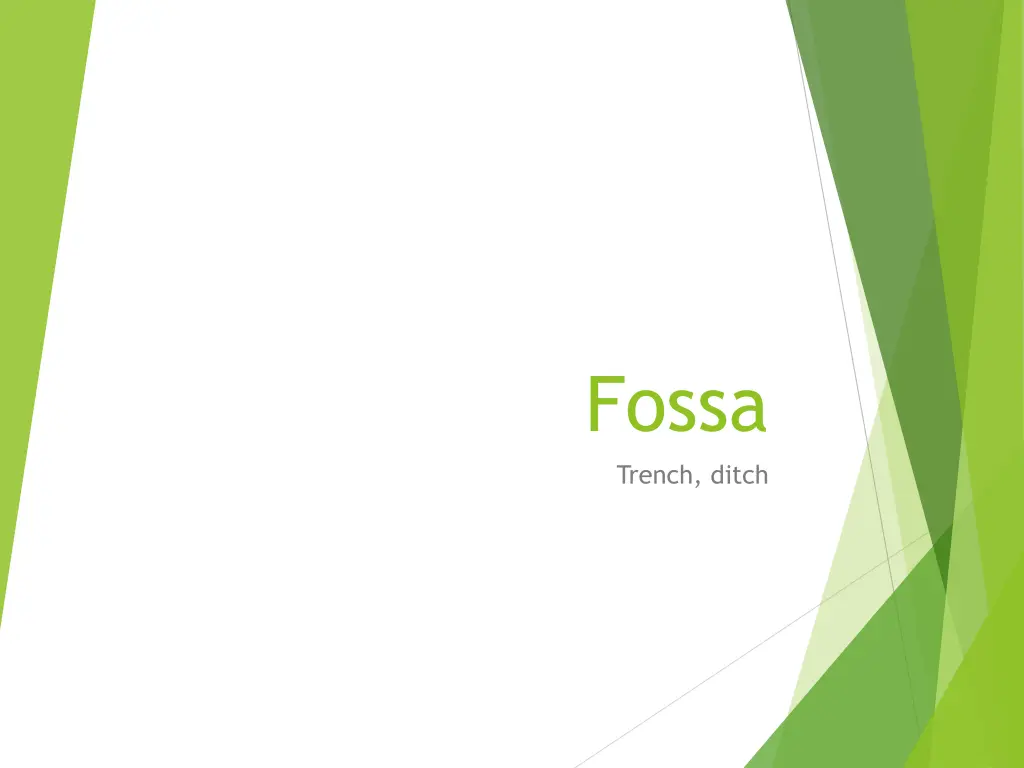 fossa trench ditch