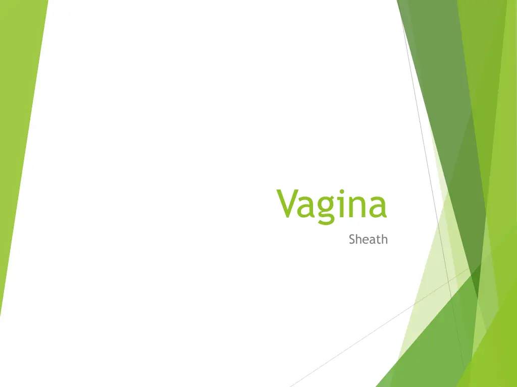 vagina