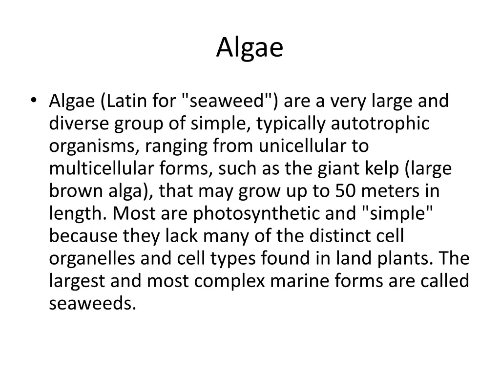 algae