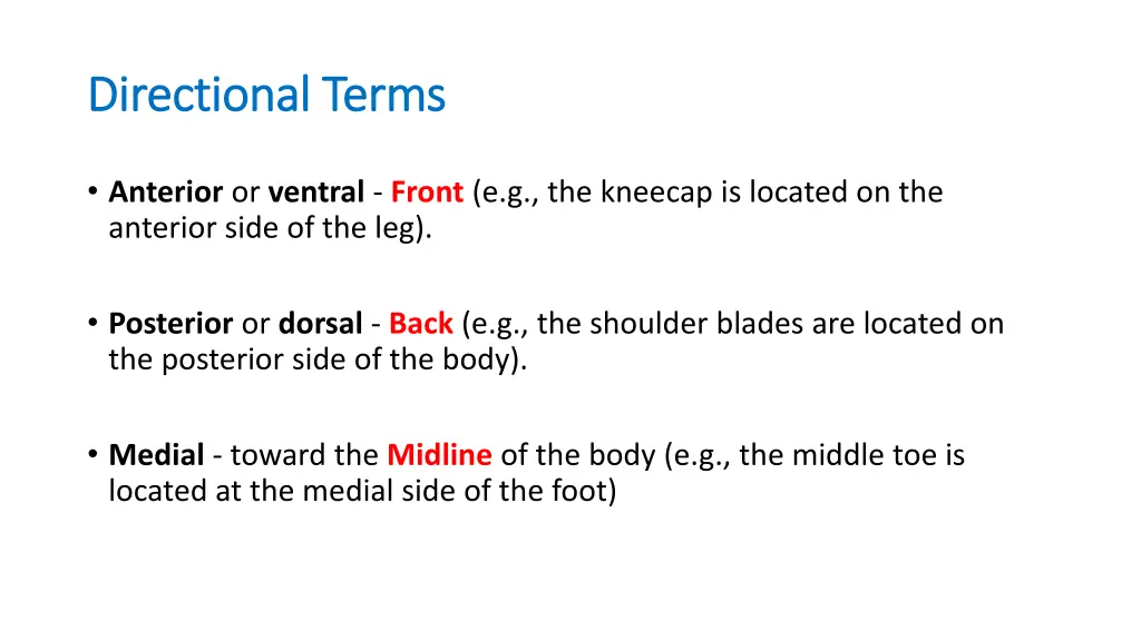 directional terms directional terms 1