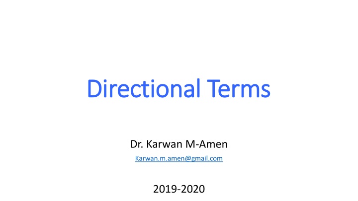 directional terms directional terms