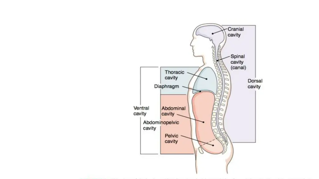 slide9