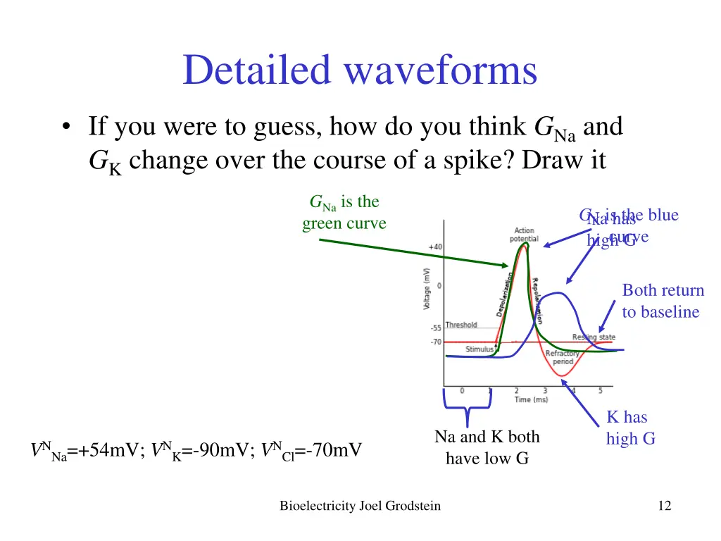 detailed waveforms