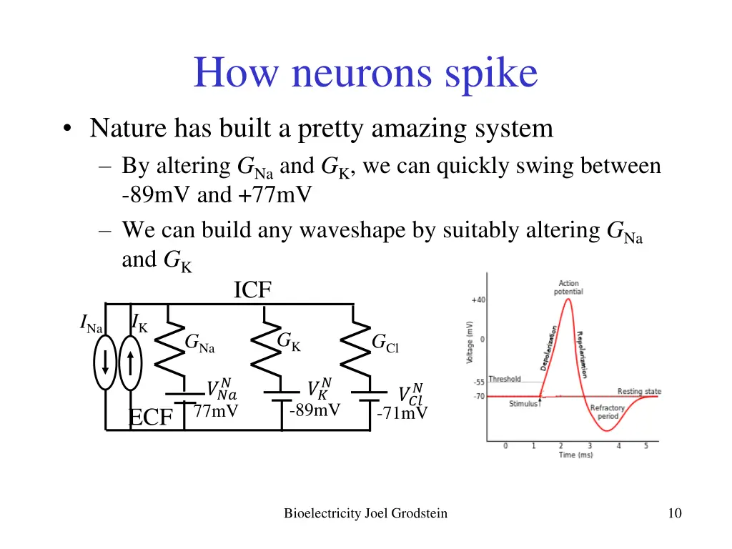 how neurons spike