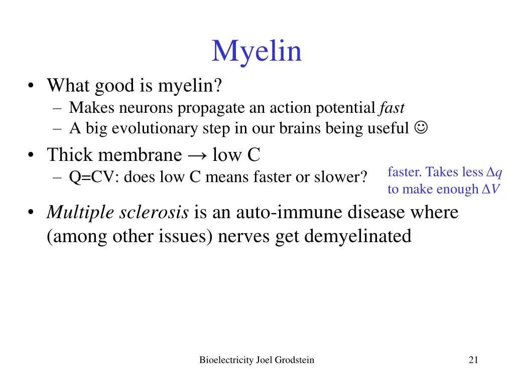 myelin 1