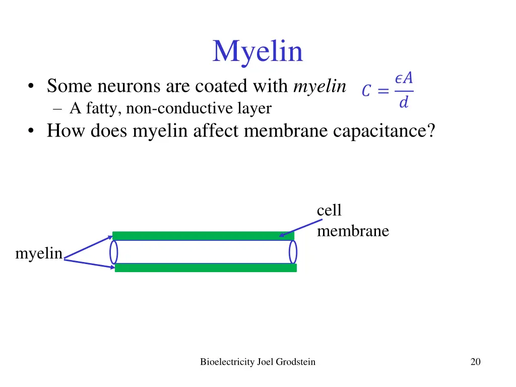 myelin