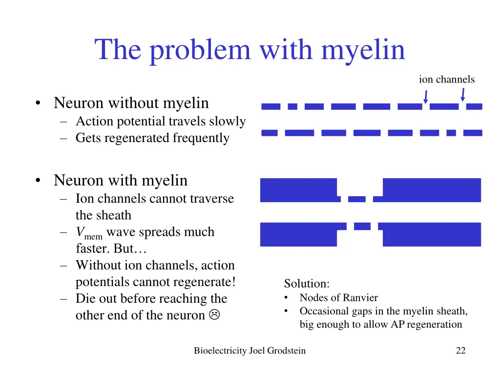 the problem with myelin