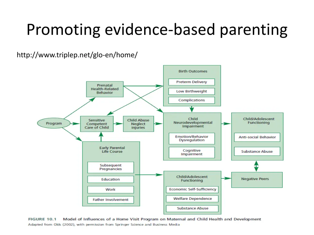 promoting evidence based parenting 3