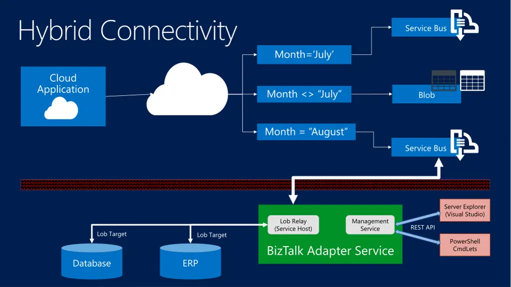 hybrid connectivity