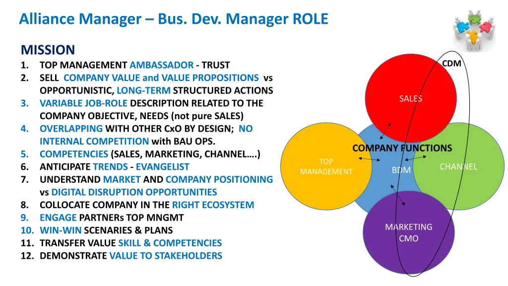 alliance manager bus dev manager role