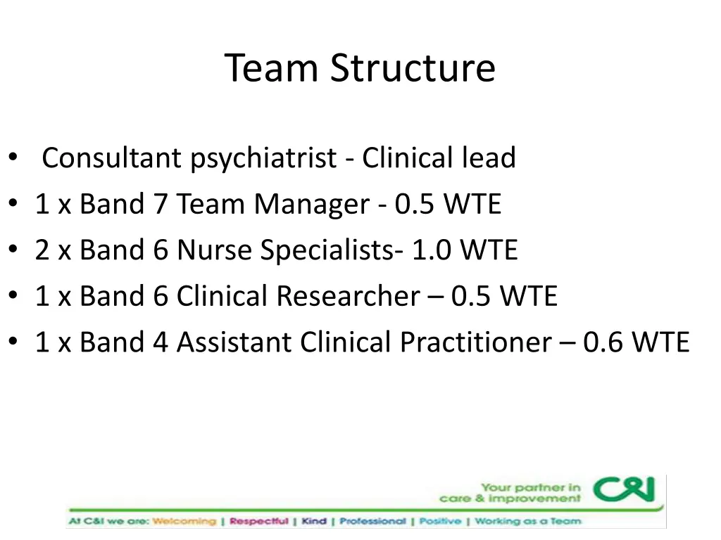 team structure