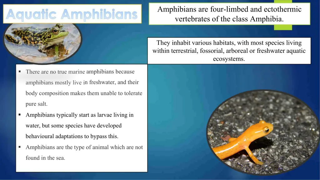 amphibians are four limbed and ectothermic