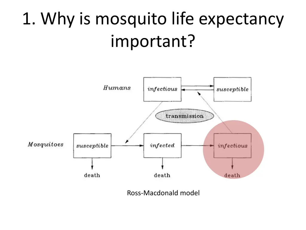 1 why is mosquito life expectancy important