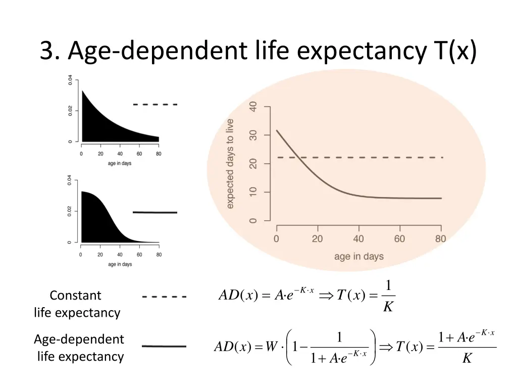 3 age dependent life expectancy t x 1