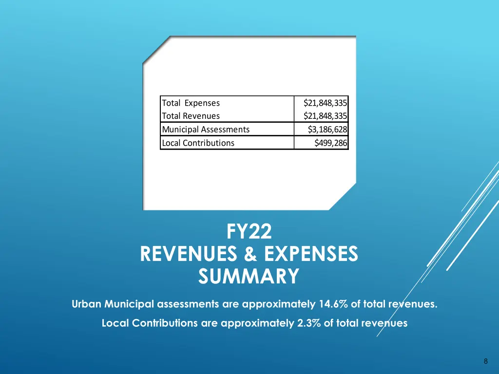 total expenses total revenues municipal
