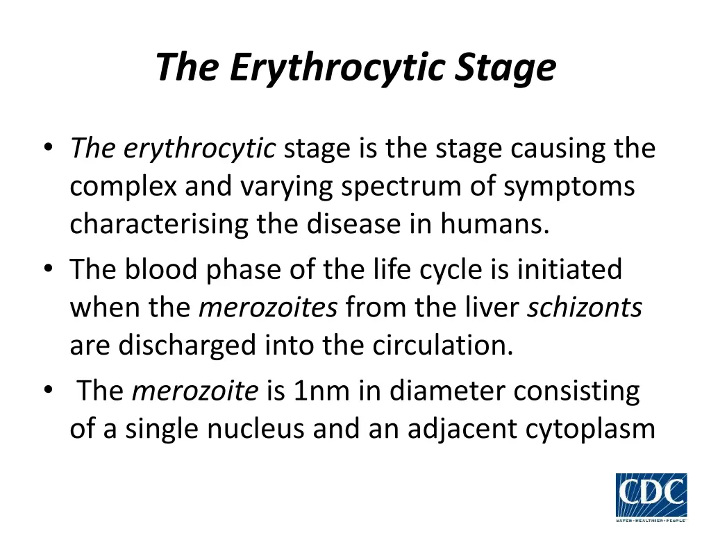 the erythrocytic stage