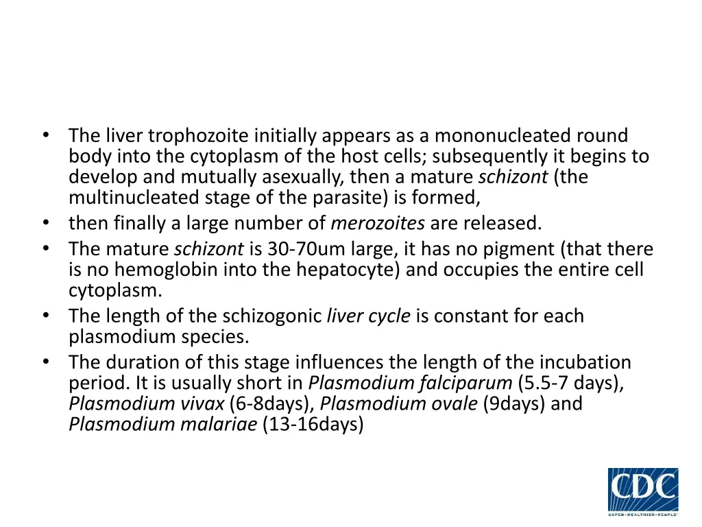 the liver trophozoite initially appears