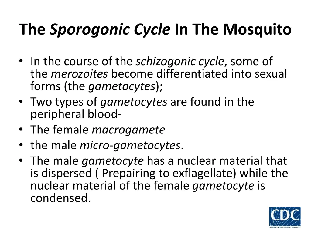 the sporogonic cycle in the mosquito