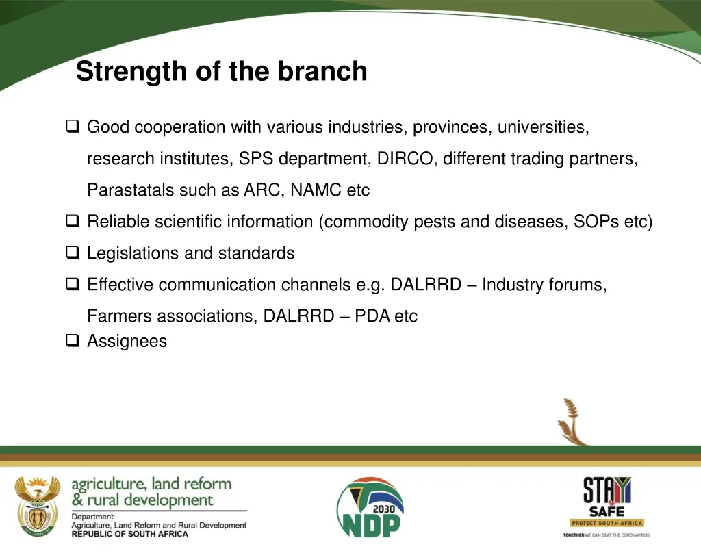 strength of the branch