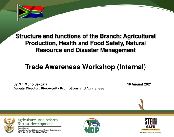 structure and functions of the branch