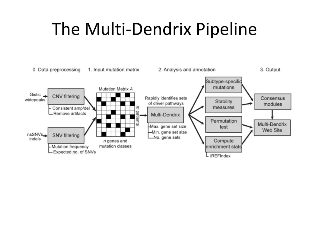 the multi dendrix pipeline
