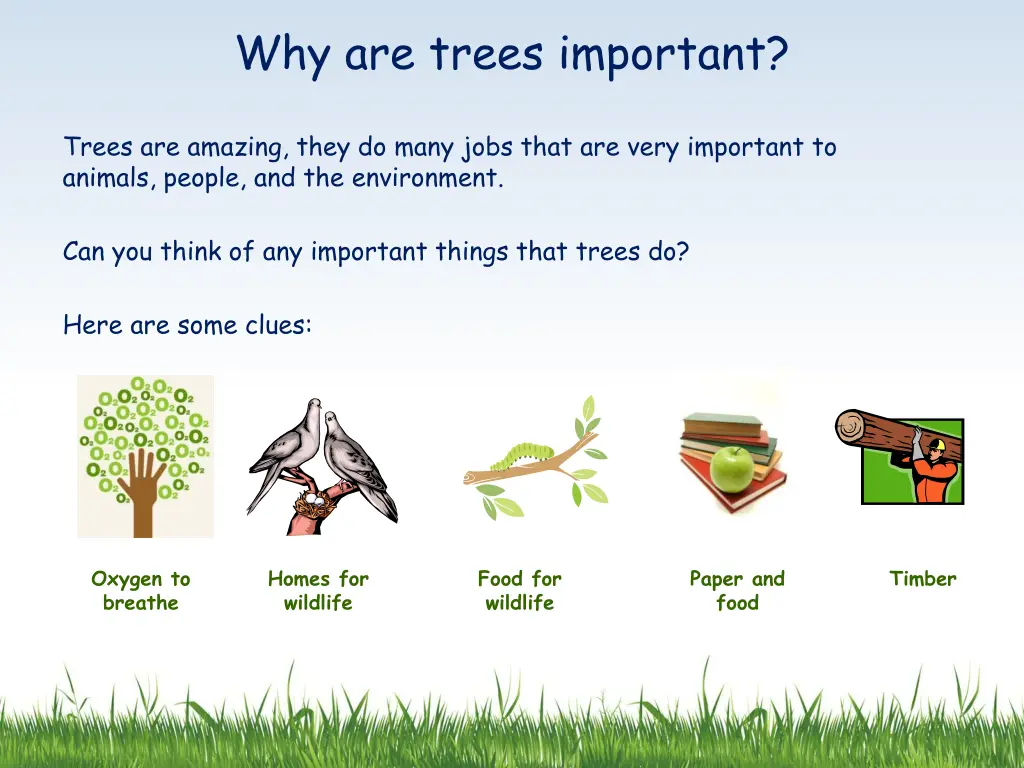 why are trees important