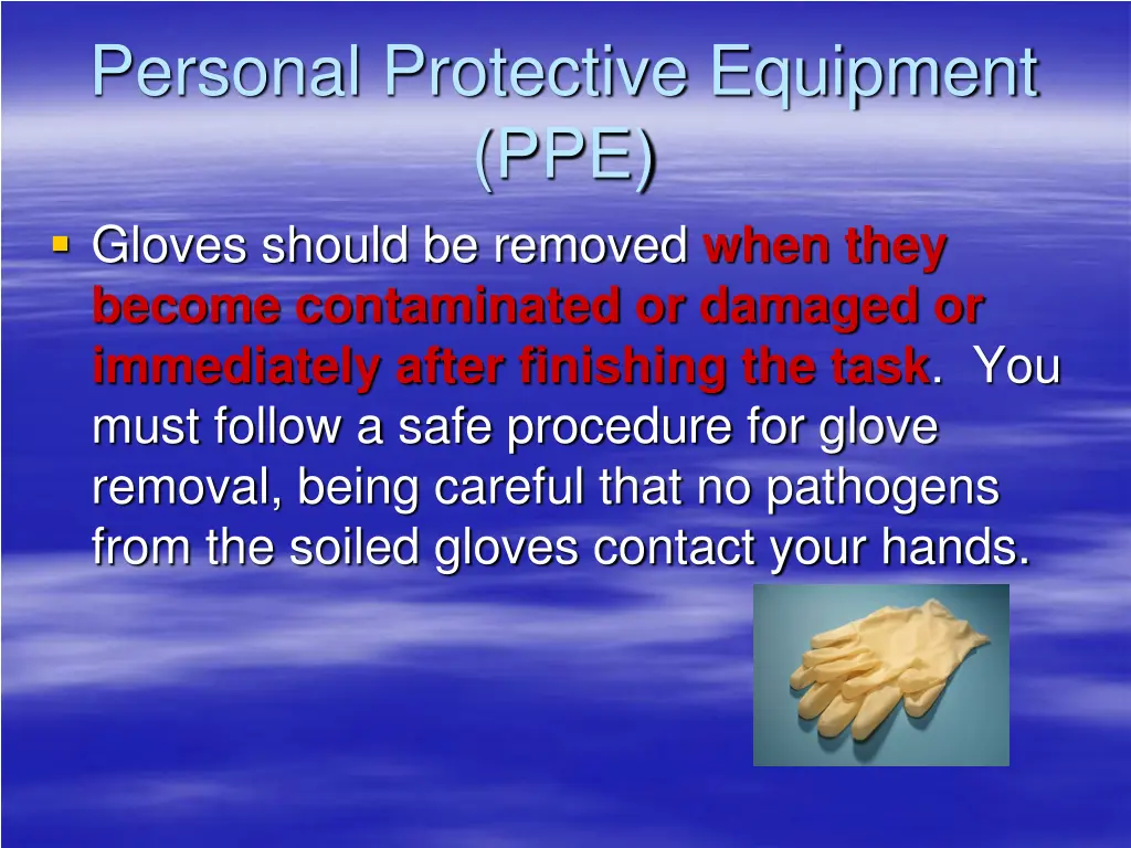 personal protective equipment ppe gloves should