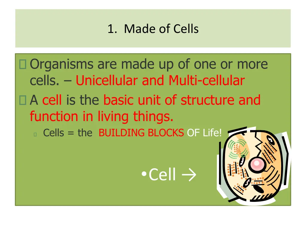 1 made of cells