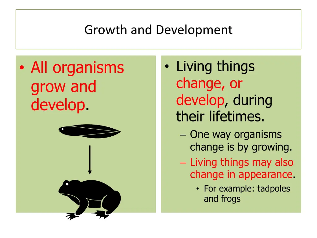 growth and development