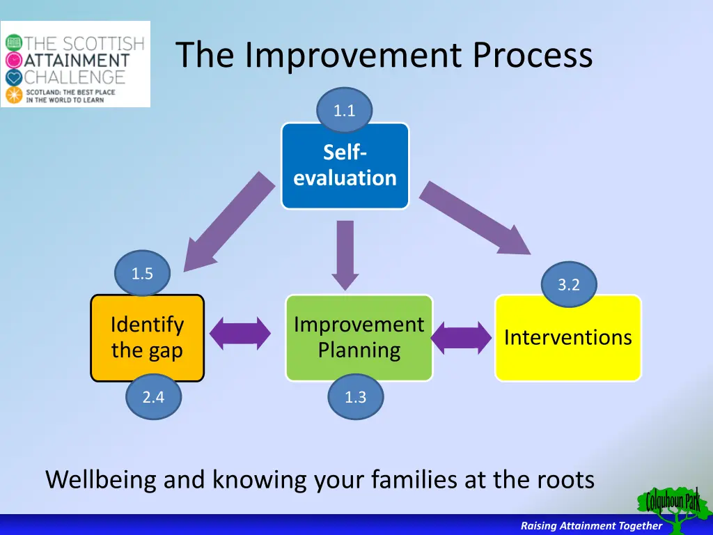 the improvement process