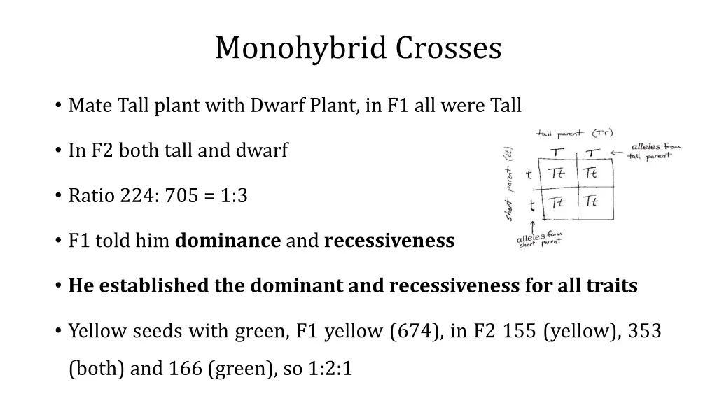 monohybrid crosses