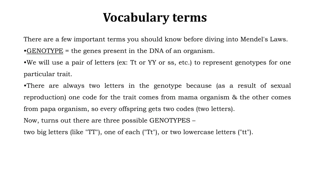 vocabulary terms