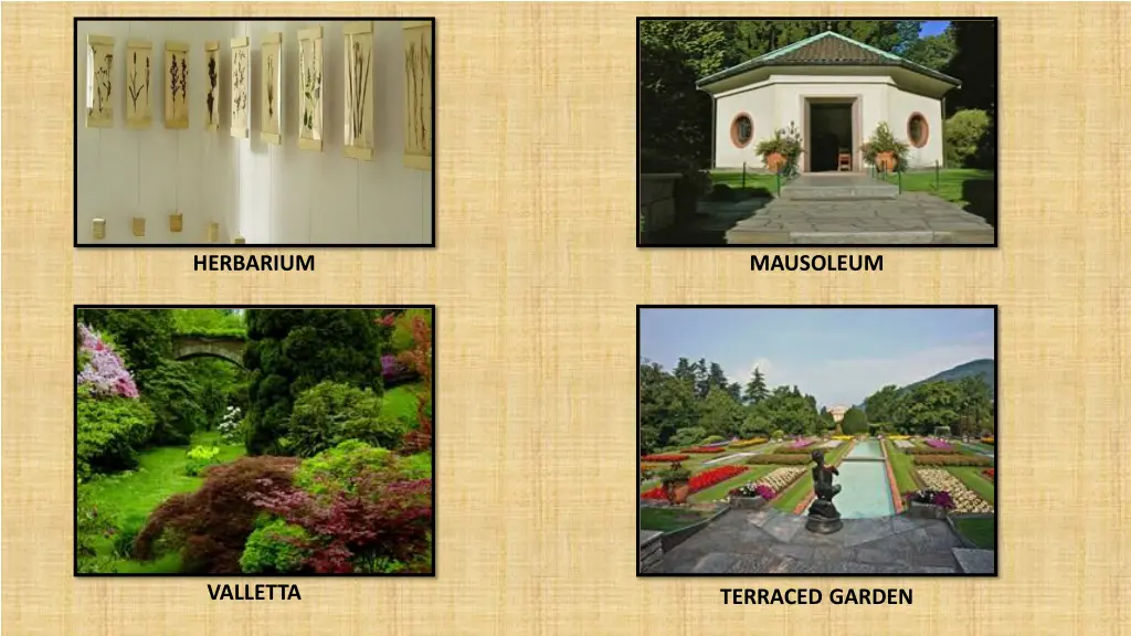 herbarium