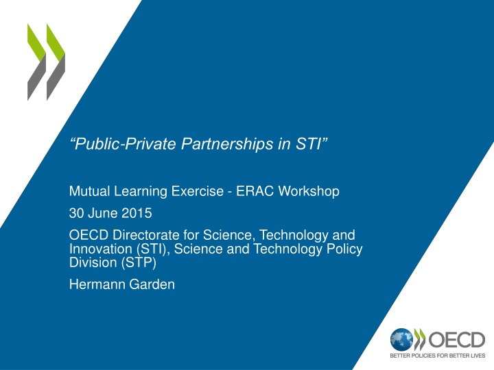 public private partnerships in sti