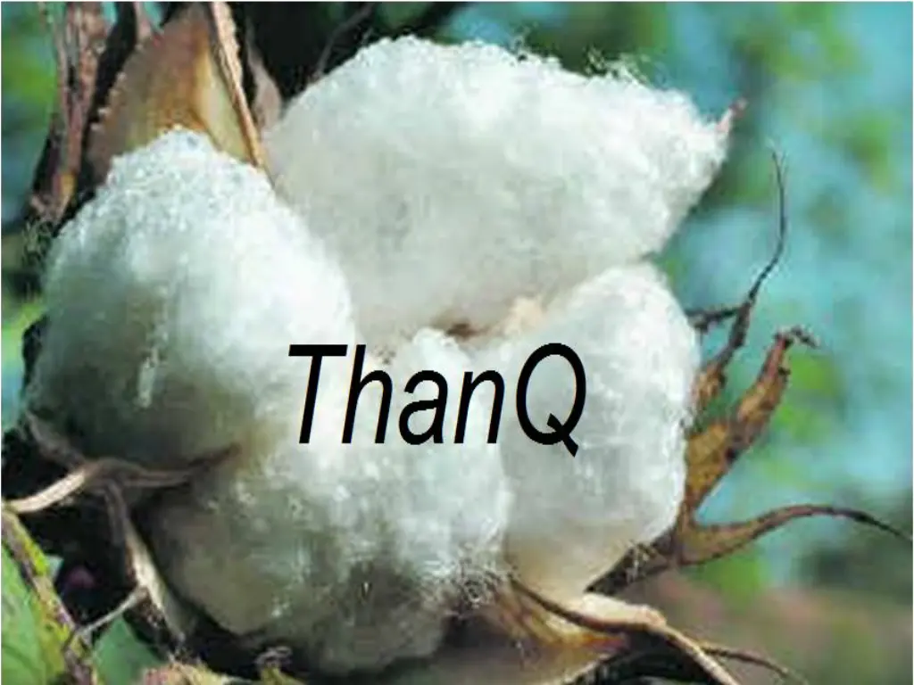 slide19