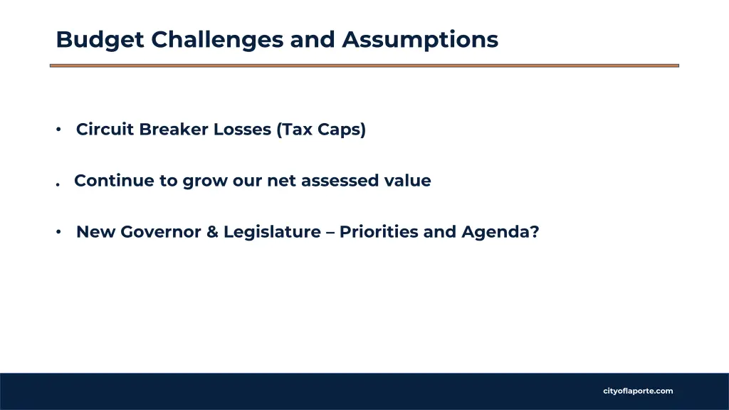 budget challenges and assumptions