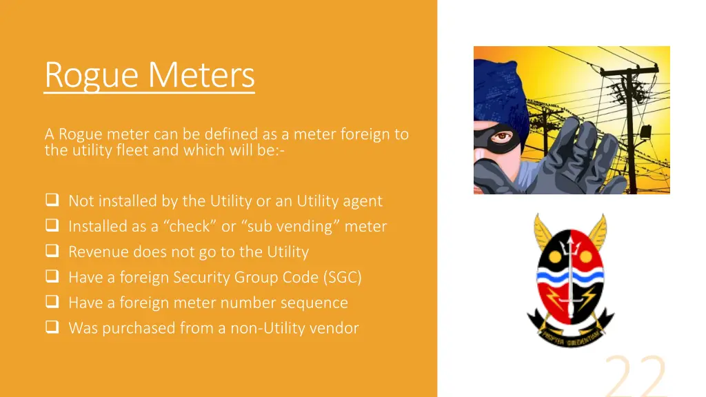 rogue meters
