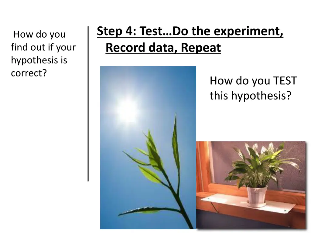 step 4 test do the experiment record data repeat