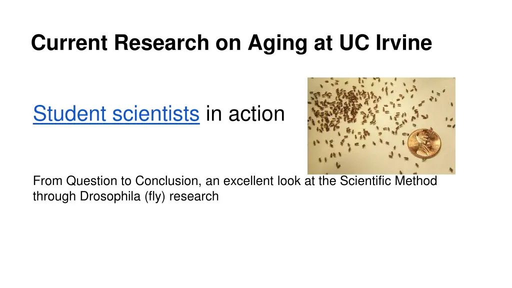 current research on aging at uc irvine