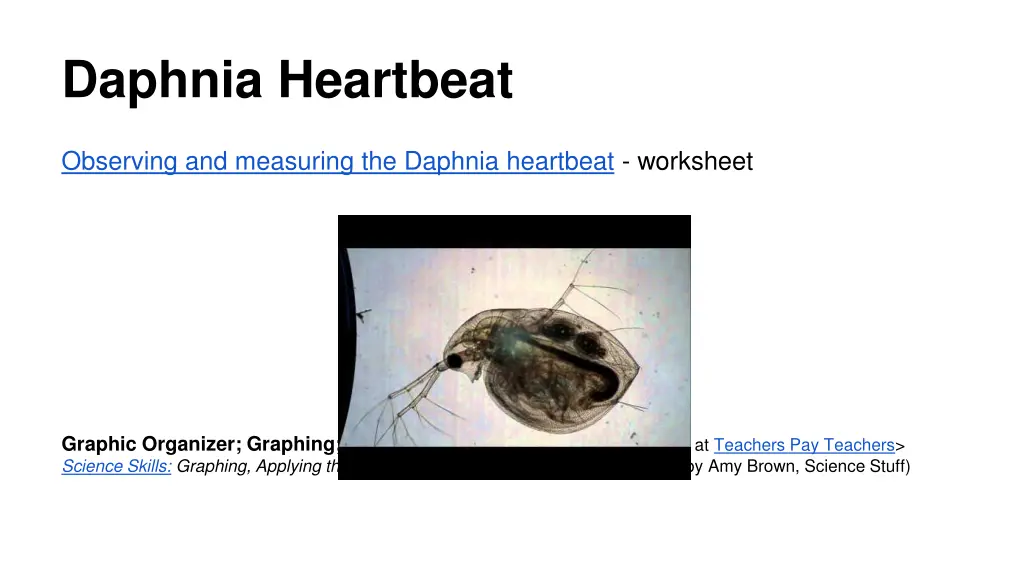 daphnia heartbeat