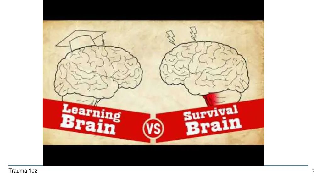 understanding trauma learning brain vs survival
