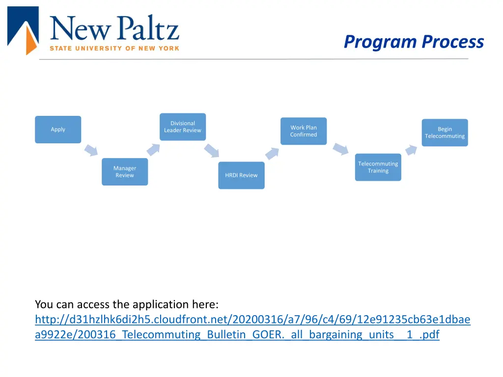 program process